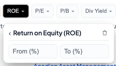Return on Equity filter with From and To range